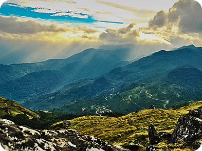 Ponmudi Hills & Tea Gardens